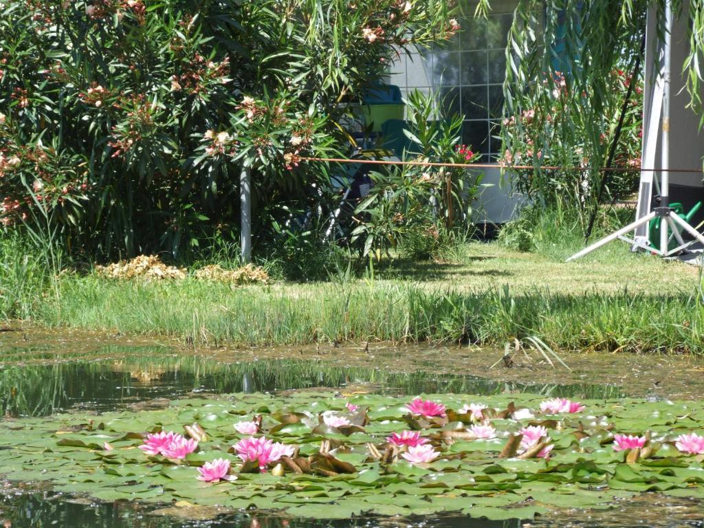 Camping Villaggio Italgest Sant'Arcangelo  Ngoại thất bức ảnh